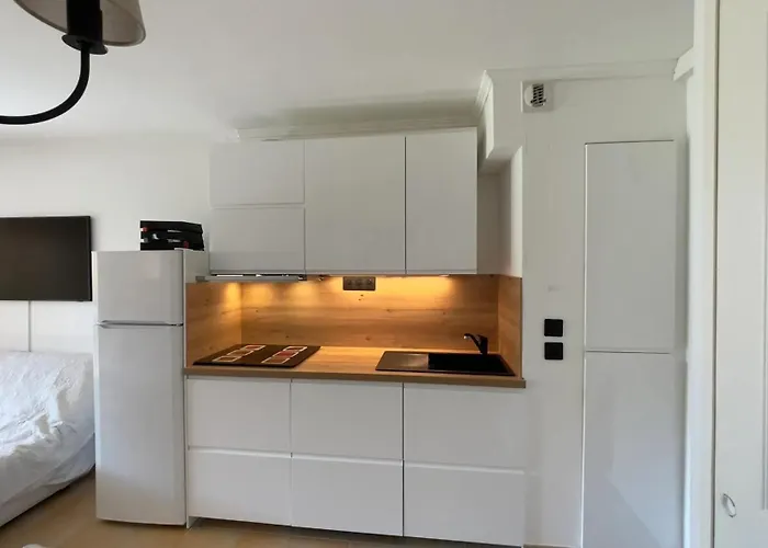 Agreable Roquebrune 32 M² Piscine Partagee Au Soleil! شقة