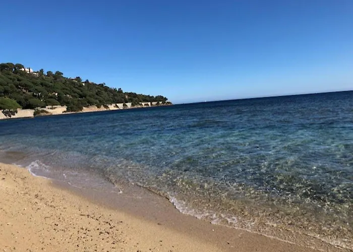 Agreable Roquebrune 32 M² Piscine Partagee Au Soleil! شقة